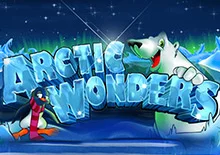 Arctic Wonders